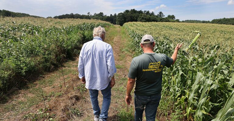 Study Debunks Climate Doomsday Predictions on Crop Yields, Mass Starvation