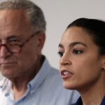 Democrats’ Circular Firing Squad: Infighting and Purity Tests Are Handing Republicans 2026