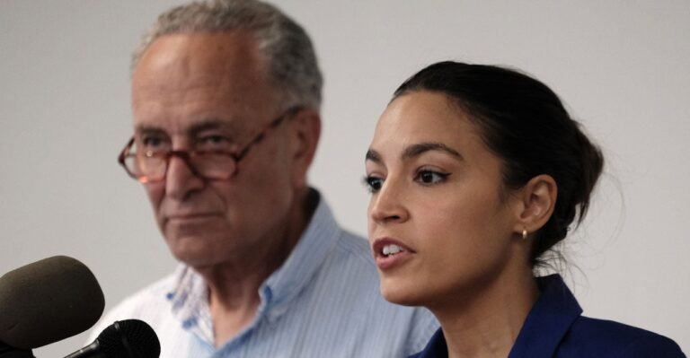 Democrats’ Circular Firing Squad: Infighting and Purity Tests Are Handing Republicans 2026