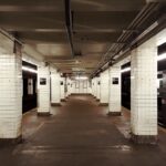 Americans Flee Los Angeles, Brooklyn, Queens, the Bronx, Chicago, and Philadelphia