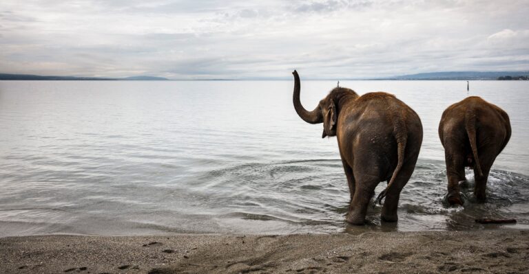 Catch Up on This Week’s News in These 18 Photos