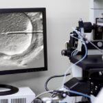 Fertility Doctors Using Donor Sperm From Someone Other Than Who the Client Chose