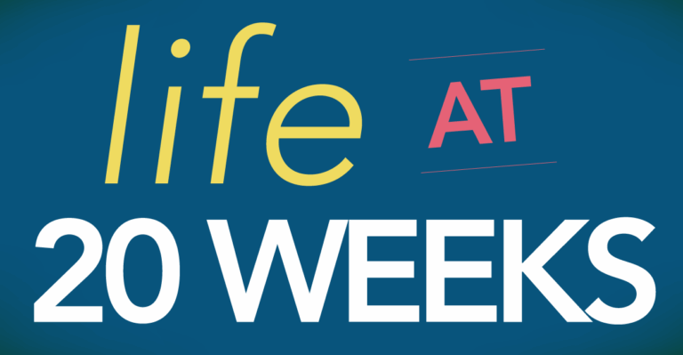 What Life Is Like at 20 Weeks in the Womb