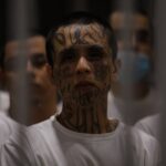 Despite Tough Talk, Biden-Harris Admin Rolls Out Red Carpet for Illegal Alien Gangs: The BorderLine