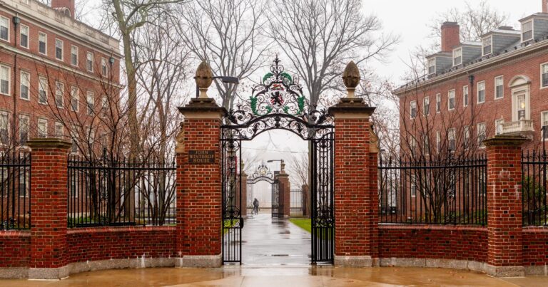Harvard Students Describe ‘Stigma’ Around Conservatism