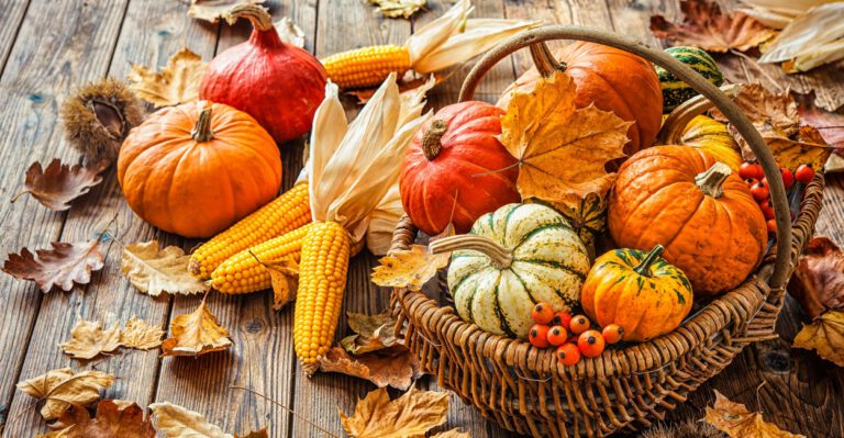 Must-See Moments: How Thanksgiving Has Become an Overlooked Holiday