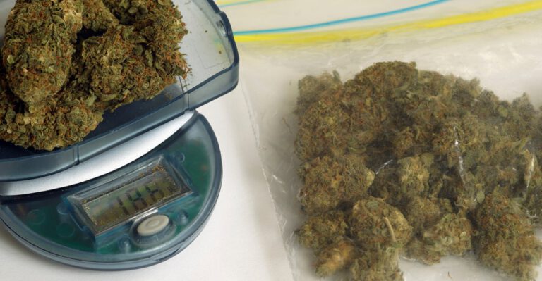 Professor Teaches His Students to Capitalize on New Business Opportunity: Marijuana