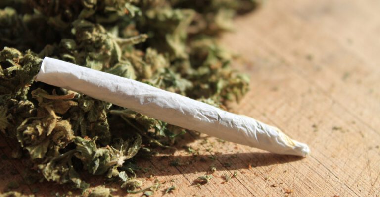 Former Drug Czar, Federal Prosecutor Argue Against Marijuana Legalization: ‘The Science Does Not Support It’