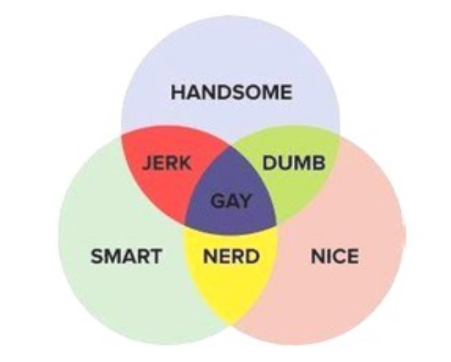 Time to Wave ‘Queer’ Goodbye 3 A Venn diagram with circles labeled HANDSOME, SMART, and NICE, overlapping to show areas labeled JERK, DUMB, NERD, and GAY where the circles intersect.