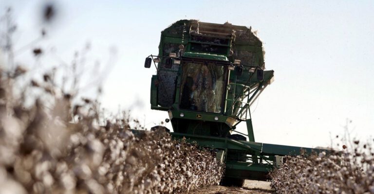 House Shouldn’t Use Disaster Aid Bill to Funnel More Handouts to Cotton Interests