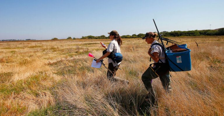 The Government Relies on Flawed Data to Determine Endangered Species