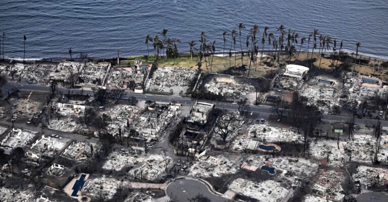 Of the Many Factors Behind the Maui Wildfires, Climate Change Was Not One, Experts Say
