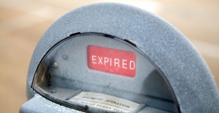 Group Waging War on Meter Maids Tests Free Speech Limits