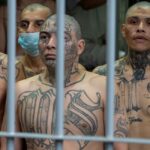 Arrest of MS-13 Leader Sparks Sanctuary City Debate