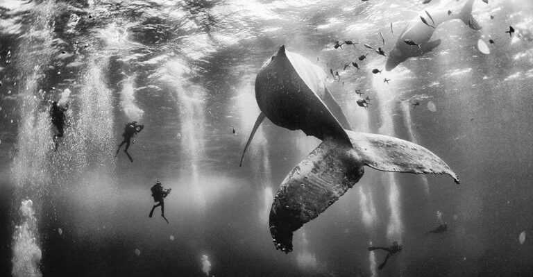 18 Unbelievable Photos From the 2015 National Geographic Traveler Photo Contest