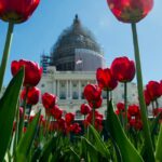 To Protect Religious Freedom, Republicans Attempt Historic Move Against D.C.