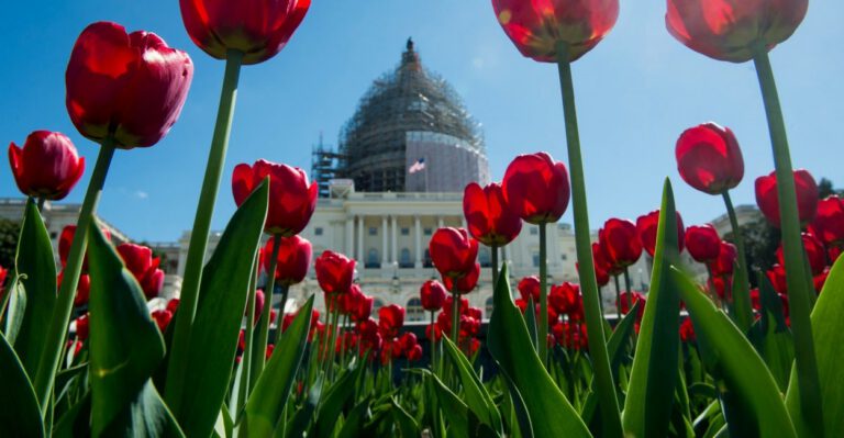 To Protect Religious Freedom, Republicans Attempt Historic Move Against D.C.
