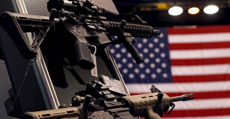 7 Points a Virginia Lawmaker Made in a Speech on Guns That Went Viral