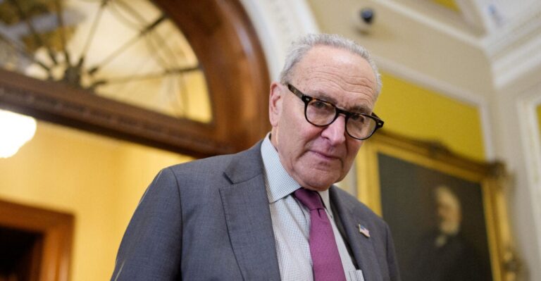 Schumer’s Strange Strategy: Shut Down the Government to Grow the Government