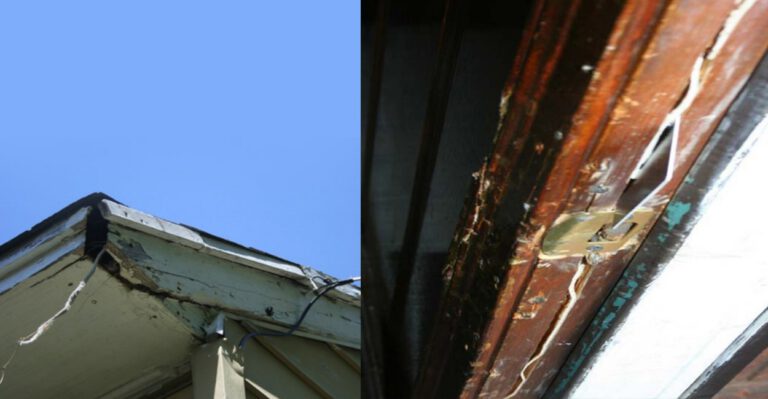 Taxpayers Spend $40 Million Each Year on a Housing Project That’s Plagued by Mold, Missing Locks, Exposed Wiring