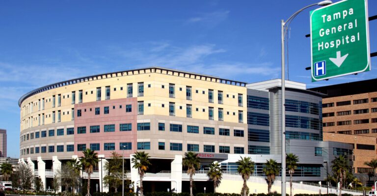 Florida’s New Online Dashboard Displays Cost of   Unrecompensed Hospital Care Provided to Illegal Aliens