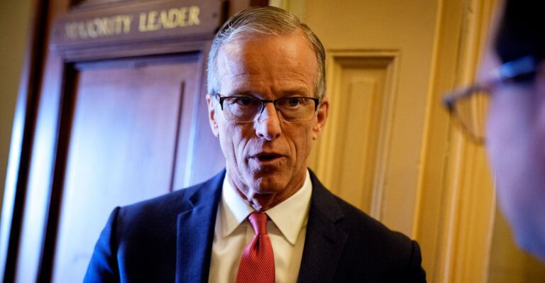 Will Congress Ensure Only Citizens Vote?