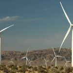 Destructive Environmentalists