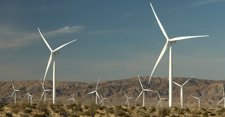Destructive Environmentalists