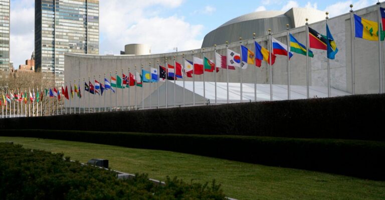 UN Diplomats Weigh Banning Surrogacy at Advice of Special Rapporteur