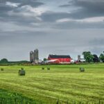 Wisconsin Farmer Again Challenges USDA Program Rules as Discriminatory