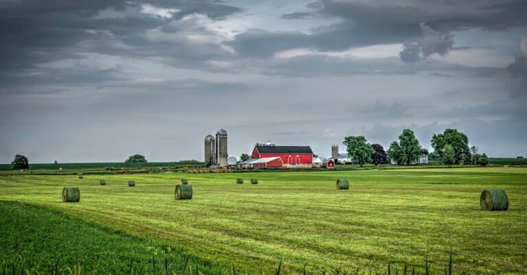 Wisconsin Farmer Again Challenges USDA Program Rules as Discriminatory