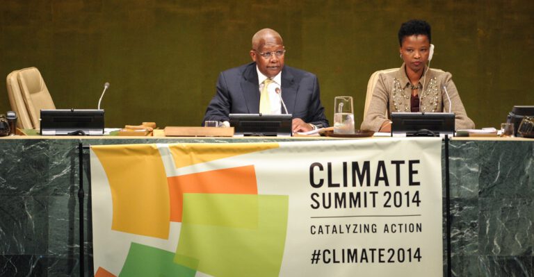 Why Climate Change Is Not a Top Priority for Many World Leaders