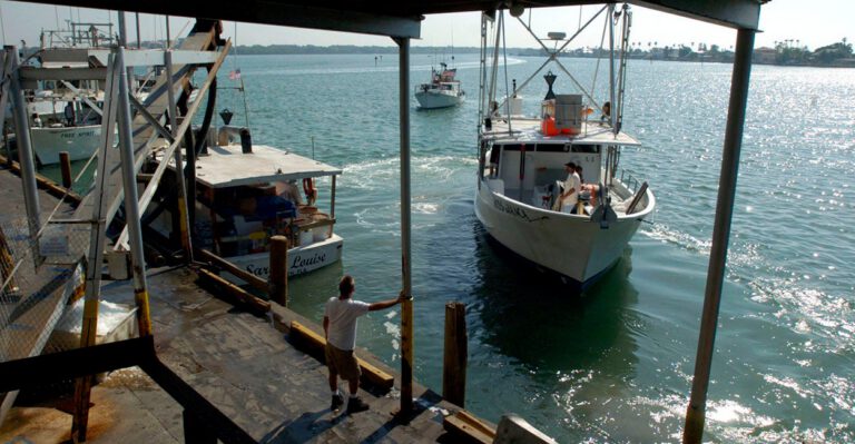 How a Fisherman Got Charged With Violating a Law Intended to Apply to Businesses Shredding Documents