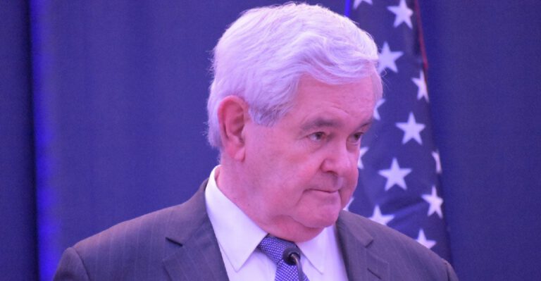 Newt Gingrich Gets Real With Left-Wing Illegal Immigrants: ‘You Must Be an American Citizen to Vote’